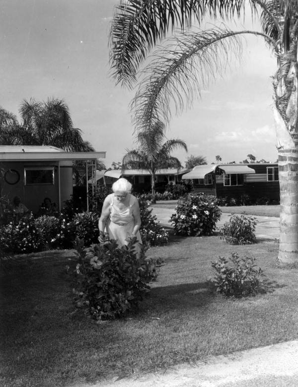 Unidentified lady tends to her plants near her trailer home - Clearwater, Florida