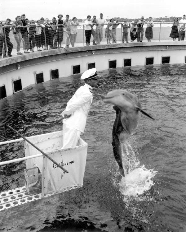 Tourists enjoying a dolphin show at Gulfarium - Fort Walton Beach, Florida