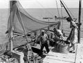 Buster Licidello, Richard Hillman, Louise Barkster, and Susan Hillman look at oysters - Apalachicola, Florida .
