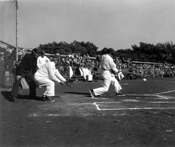Member of 75 or older softball team hits the ball- Saint Petersburg, Florida .