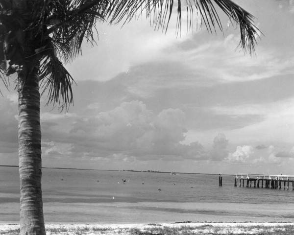 View of the beach and the fishing dock - Sanibel Island, Florida .