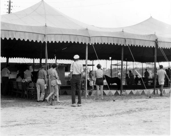 People near circus tent- Venice, Florida