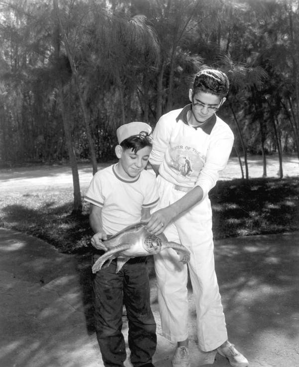 Two boys holding a turtle at the Theater of the Sea - Islamorada, Florida