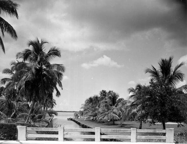 Manuel Branch stream off McGregor Boulevard - Fort Myers, Florida.