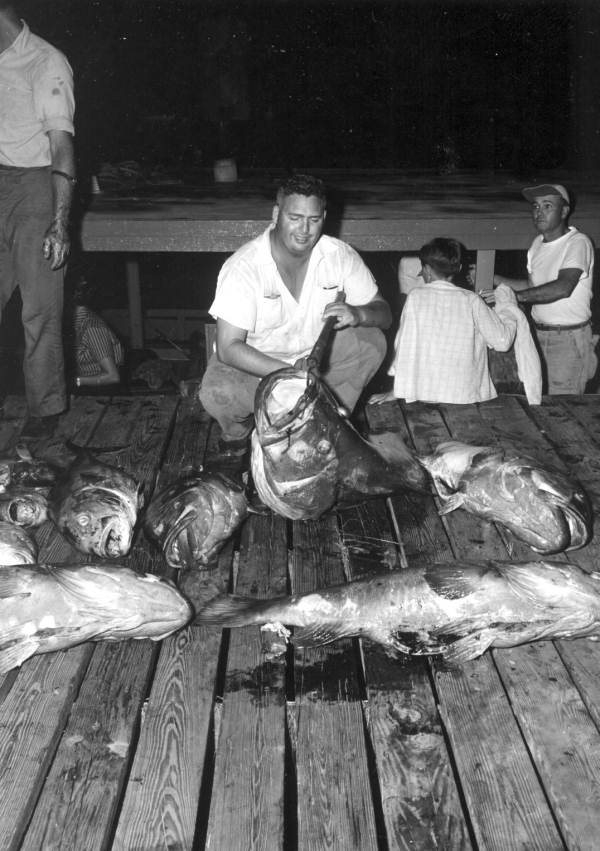 Roy H. Martin displays the reason he holds 19 world fishing records at the Destin Rodeo - Destin, Florida
