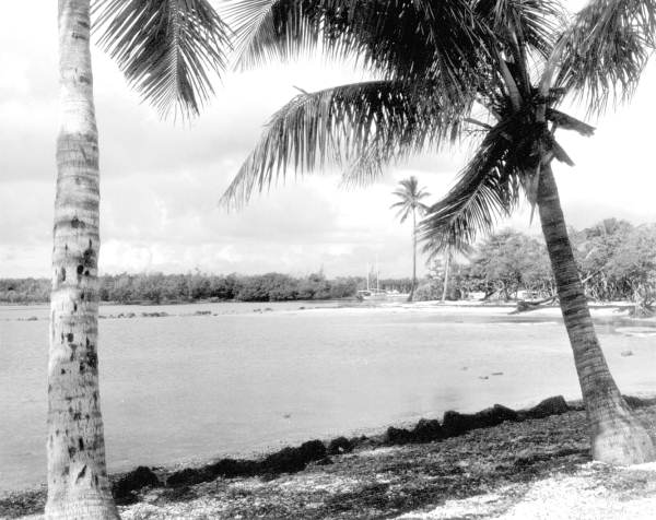 Matheson Hammock County Park beach - Miami, Florida.