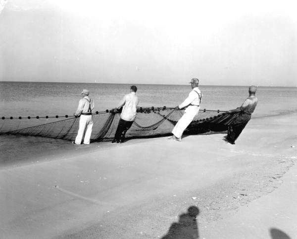 Commercial fishermen hauling nets in from the water - Beacon Hill, Florida