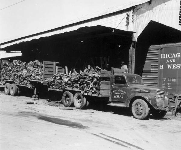 Wood at the platform of the Newport Industries - Pensacola, Florida.