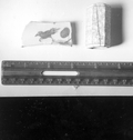 China fragment and ivory cylinder on display at McKee's Museum of Sunken Treasure - Plantation Key, Florida