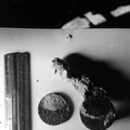 Spanish dollars on display at McKee's Museum of Sunken Treasure - Plantation Key, Florida