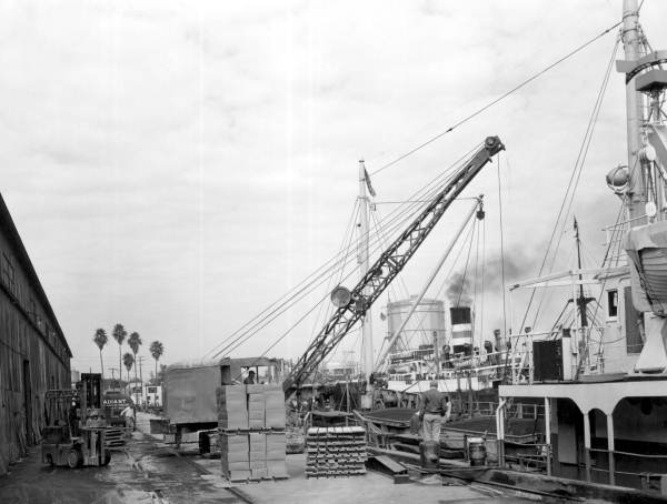 Loading cargo at a busy Tampa port - Tampa, Florida.