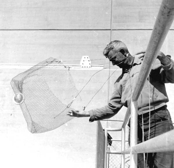 Floyd Miller seines for bait - Chattahoochee, Florida