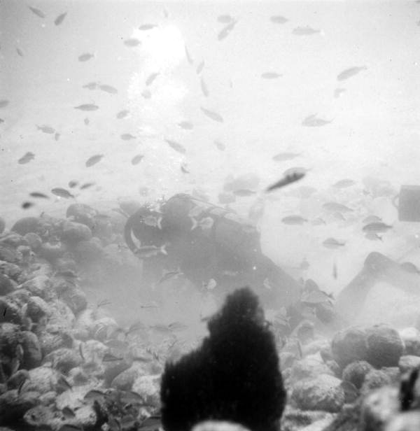 Divers swims through the site - Plantation Key, Florida .