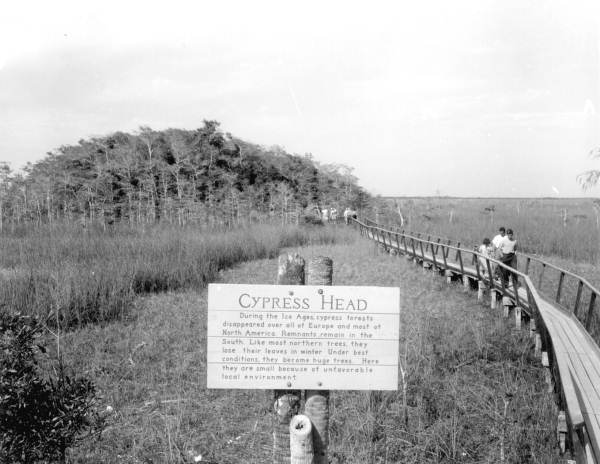 Sign next to boardwalk - Everglades National Park, Florida.