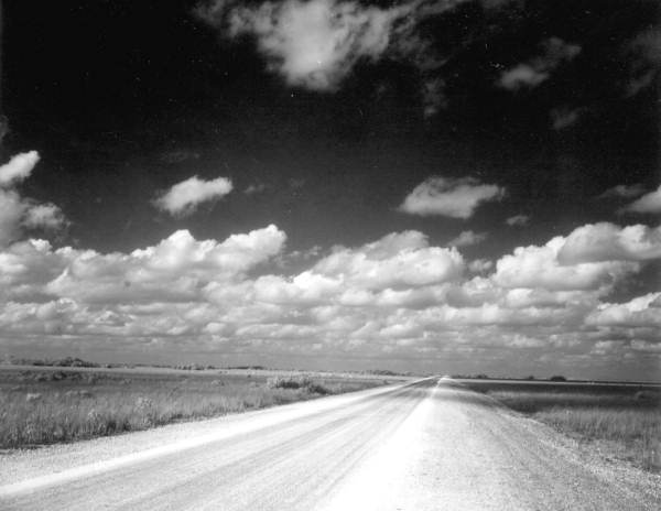 Road running through the Everglades.