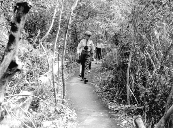 Park Naturalist Clay Gifford leads a group over the Gumbo Limbo Trail.