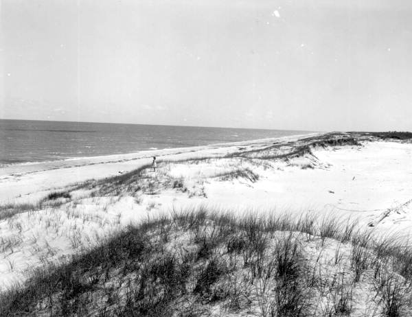 Aerial view of Saint George Island - Saint George Island, Florida .