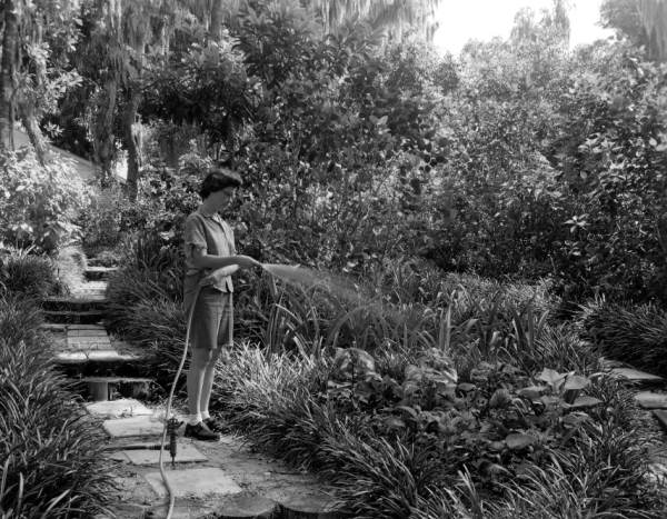 Young woman watering her garden - Orlando, Florida.