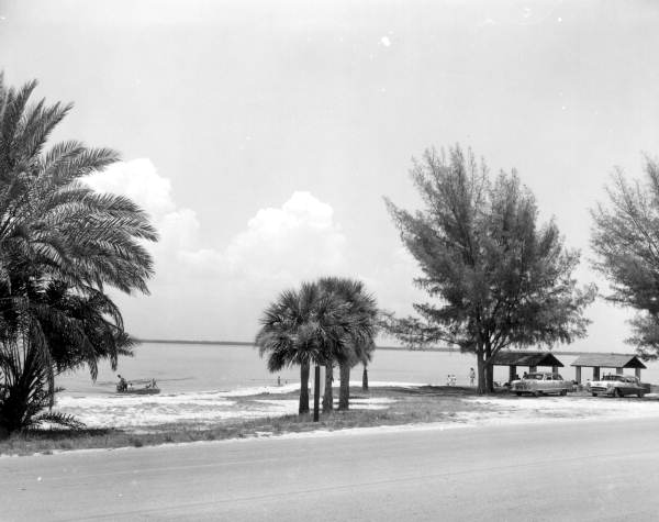 Wayside park off the Courtney Campbell Parkway.