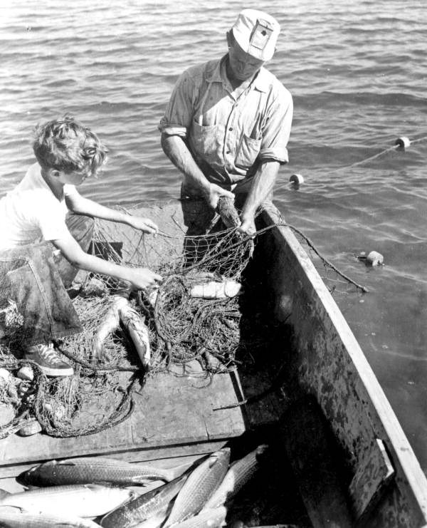 Commercial mullet fisherman and son working in the 10,000 Islands area - Everglades, Florida