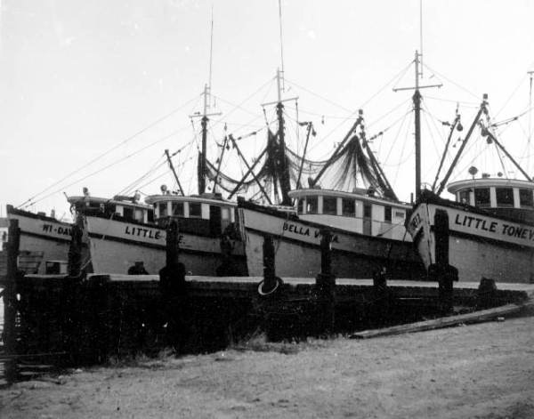 Shrimp boats - Key West, Florida