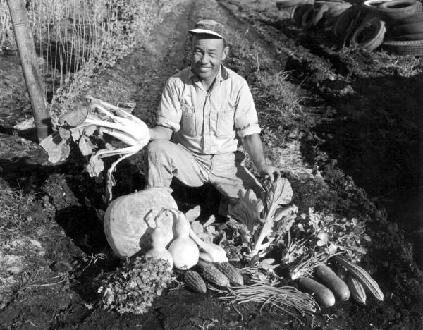 Farmer Eng and his chinese vegetables - Fort Lauderdale, Florida