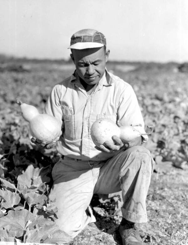 Farmer Eng holding smooth squash - Fort Lauderdale, Florida.