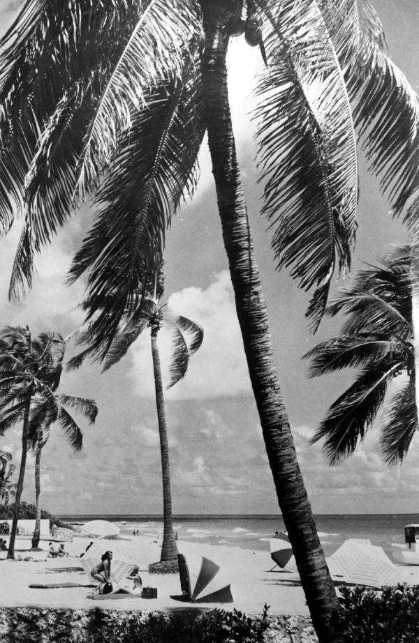 Miami Beach.