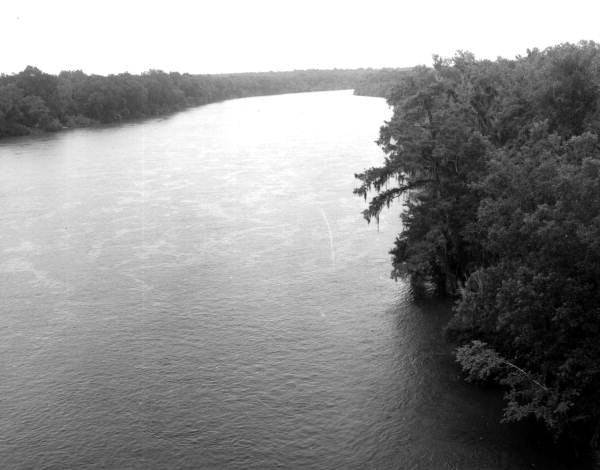 Apalachicola River Reading At Blountstown