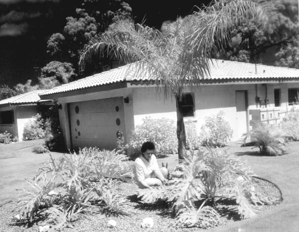 Woman working in the yard at the Marvin Anderson home - Sarasota, Florida.