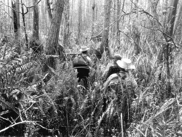 Men in Corkscrew Swamp - Collier County, Florida