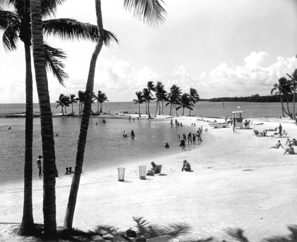 People enjoying the Matheson Hammock County Park beach - Miami, Florida