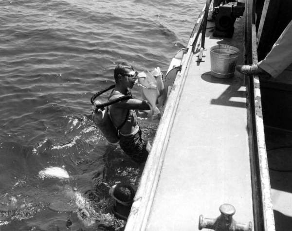 Spear fishing scuba divers - Destin, Florida.