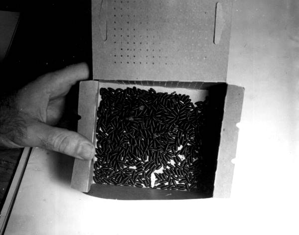 Box of sterile screwworm pupae to be dropped on a cattle ranch - Sebring, Florida
