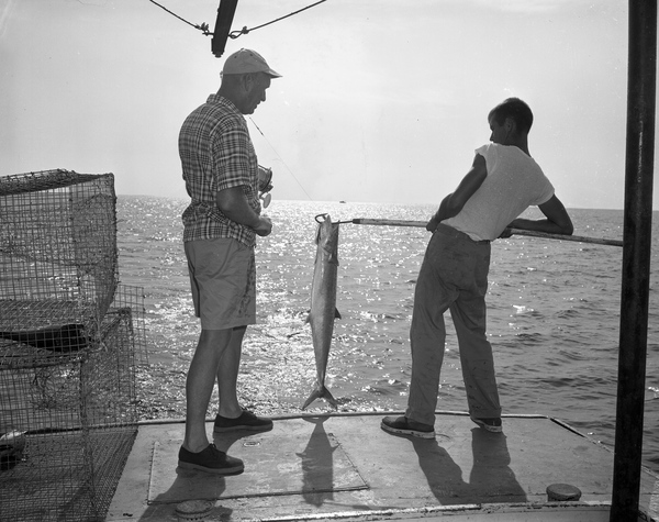 A boy gaffing a king mackerel - Destin, Florida.