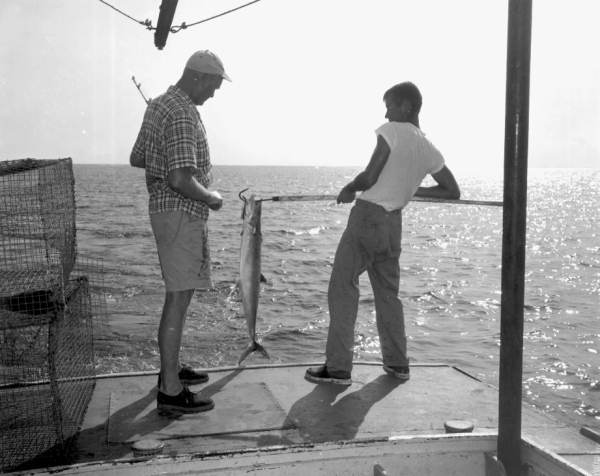 A man watches a young man holding a king mackerel with a gaff in the charter boat - Destin, Florida.