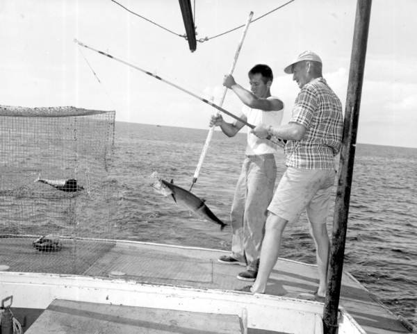 A young man holds a king mackerel with a gaff caught by a man in the charter boat - Destin, Florida.