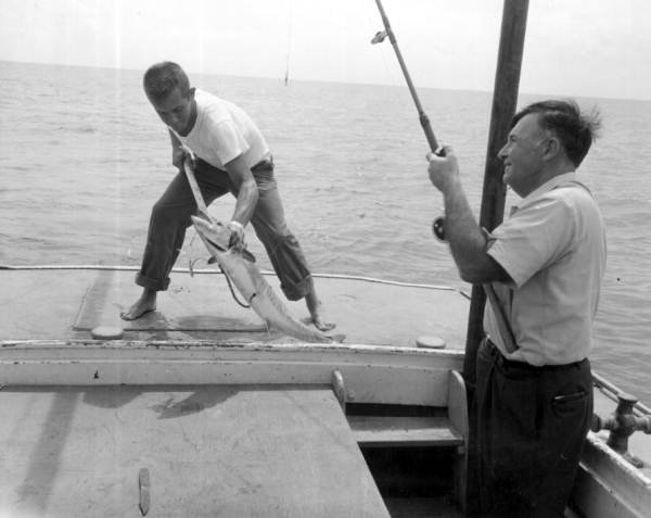 A young man holds a king mackerel with a gaff caught by a fisherman in the charterboat - Destin, Florida.