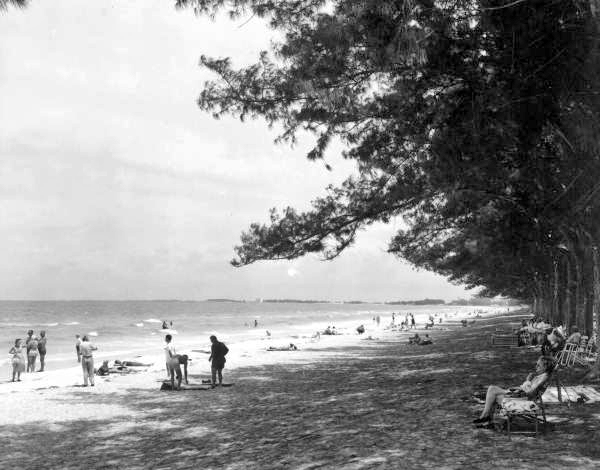 People on the beach in the shade of Australian pines.