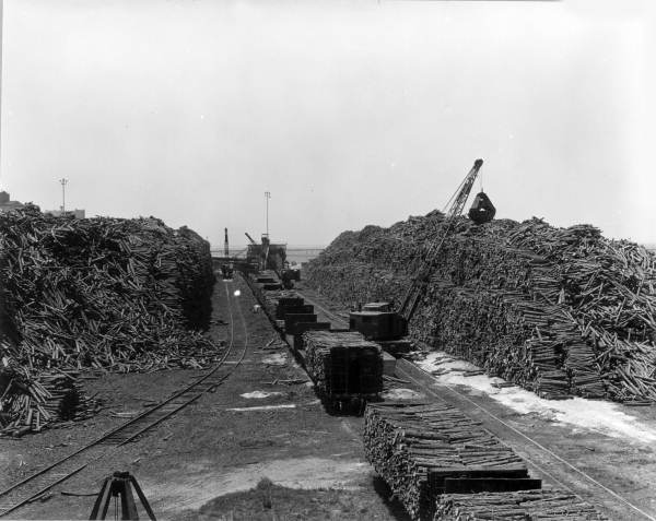 View of storage area for St. Joe Paper Company wood - Port Saint Joe, Florida.