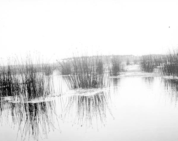 Orange Lake
