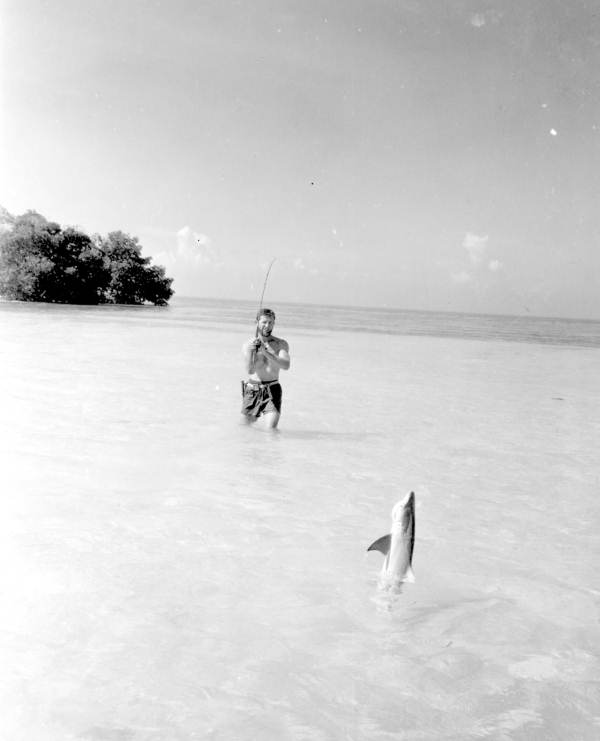 Fisherman reeling in a small shark - Marquesas Keys, Florida