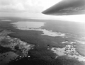 Aerial view of the Everglades