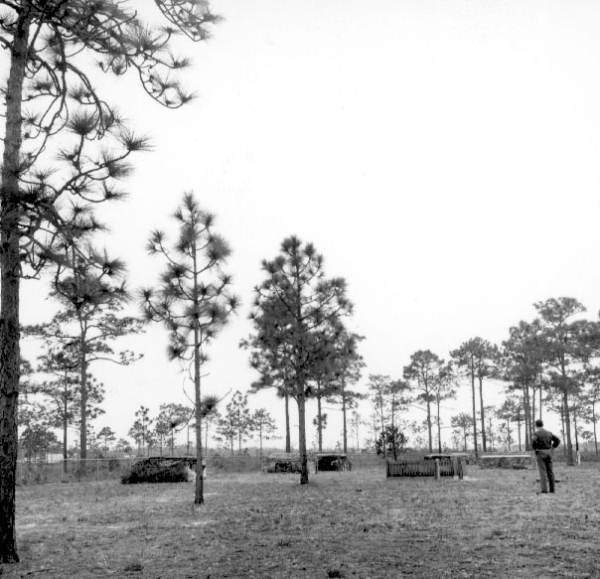 Saint Joseph's Cemetery - Port Saint Joe, Florida.