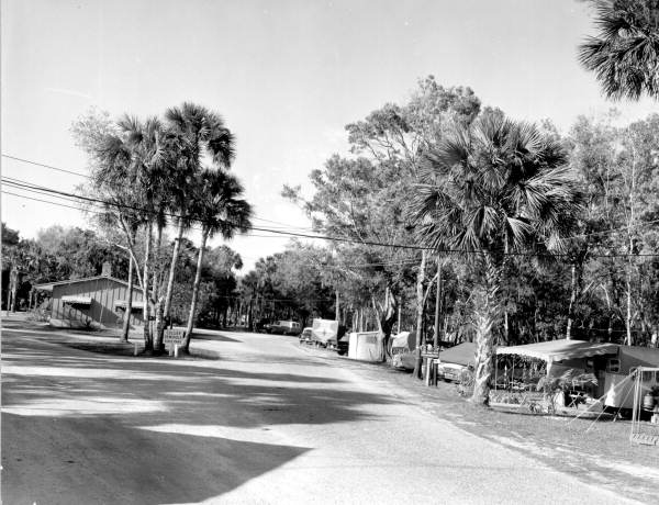 Camp grounds at the Collier-Seminole State Park - Collier County, Florida.