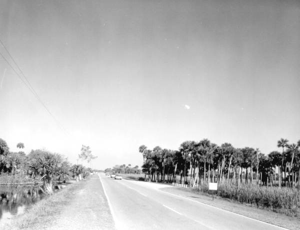 15 miles east of Naples on the Tamiami Trail - Everglades, Florida.
