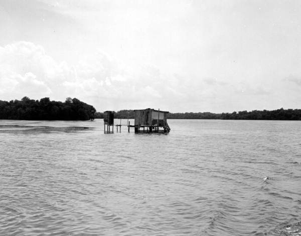 View of house in the Saint Johns River
