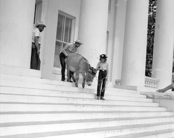 Spanish Trail riders in Tallahassee with a donkey