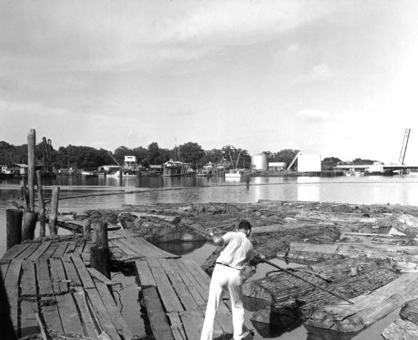 Mahogany log boom in a river port - Pensacola, Florida.