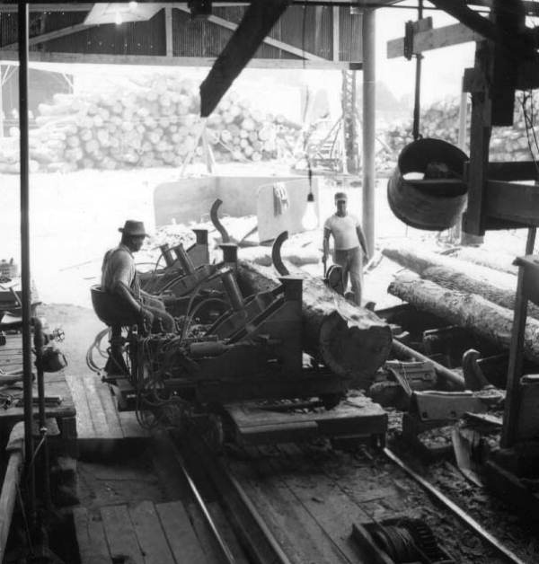 Florida Memory • Men working at the Rex Lumber Company mill in Graceville.